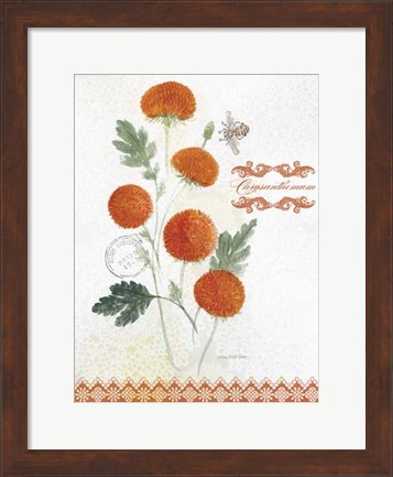 Framed Flower Study on Lace IV Print