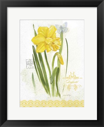 Framed Flower Study on Lace V Print