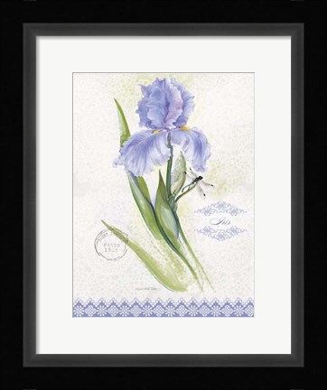 Framed Flower Study on Lace VII Print