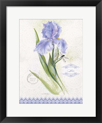 Framed Flower Study on Lace VII Print