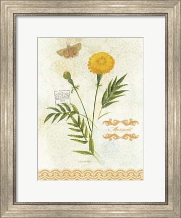 Framed Flower Study on Lace XI Print