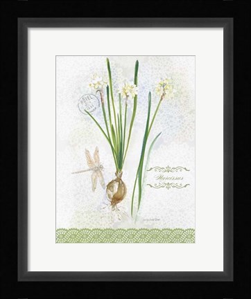 Framed Flower Study on Lace XII Print