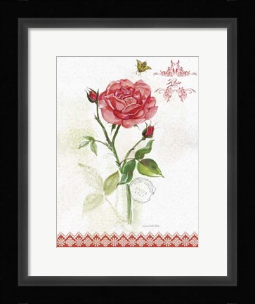 Framed Flower Study on Lace XIII Print