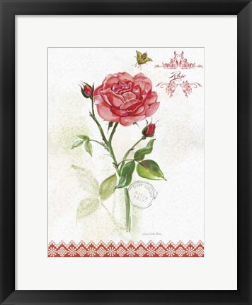 Framed Flower Study on Lace XIII Print