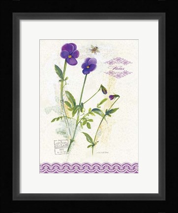Framed Flower Study on Lace XIV Print