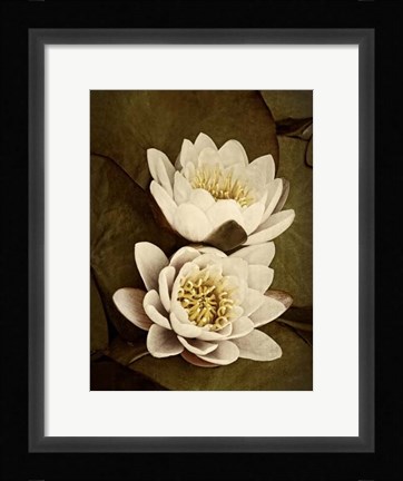 Framed Lily Pad Duo Print