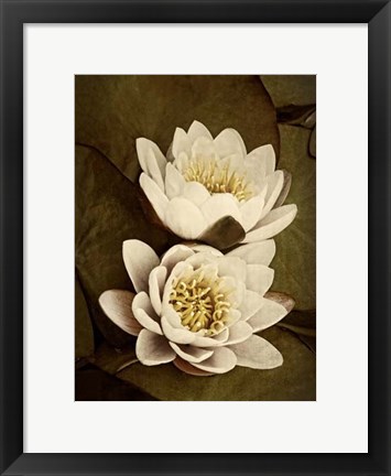 Framed Lily Pad Duo Print