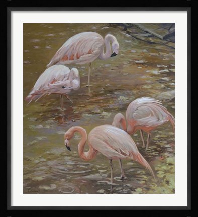 Framed Pink Passion Print