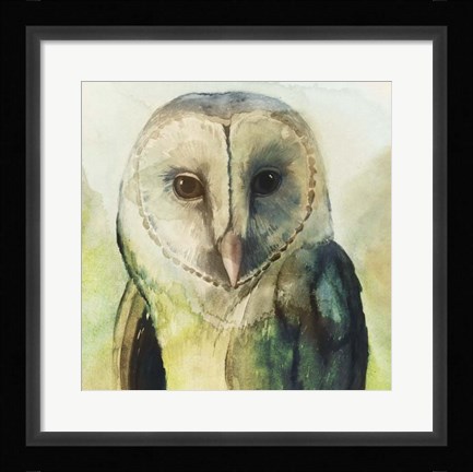 Framed Harlequin Hibou I Print