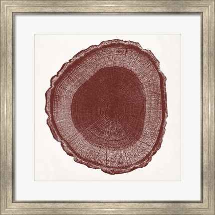 Framed Tree Ring I Print