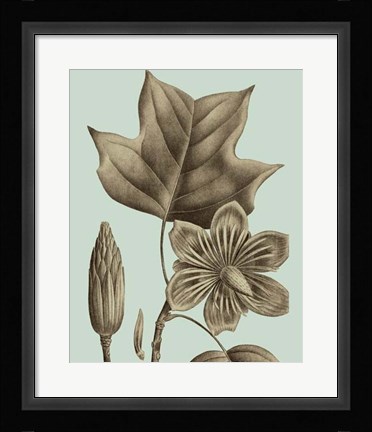 Framed Flowering Trees I Print