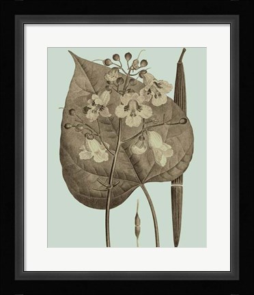 Framed Flowering Trees II Print