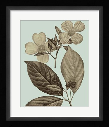 Framed Flowering Trees III Print