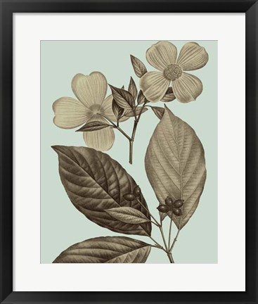 Framed Flowering Trees III Print