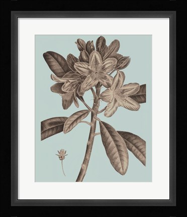 Framed Flowering Trees IV Print
