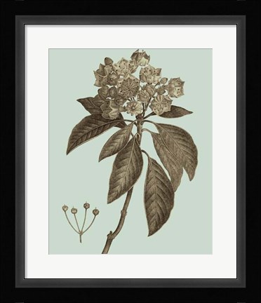 Framed Flowering Trees V Print