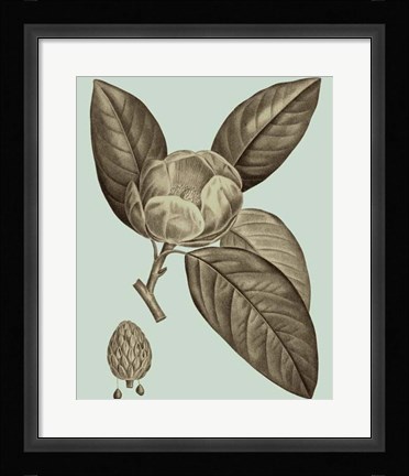 Framed Flowering Trees VI Print