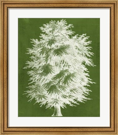Framed Modern Arbor I Print