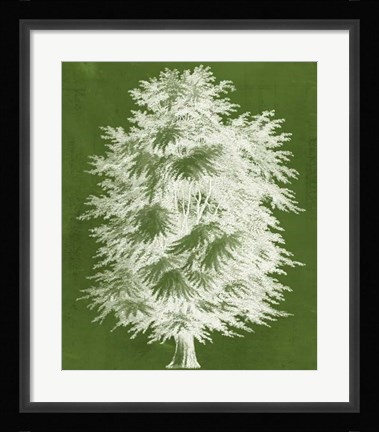 Framed Modern Arbor I Print