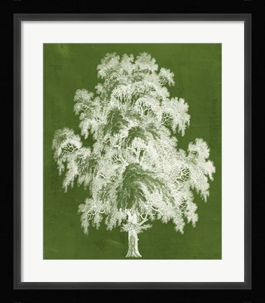 Framed Modern Arbor II Print
