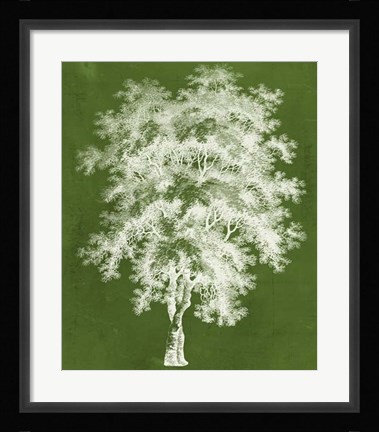 Framed Modern Arbor III Print