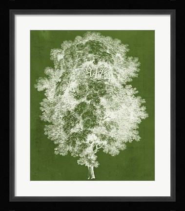 Framed Modern Arbor IV Print