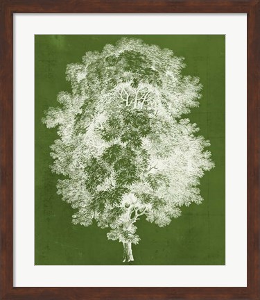 Framed Modern Arbor IV Print