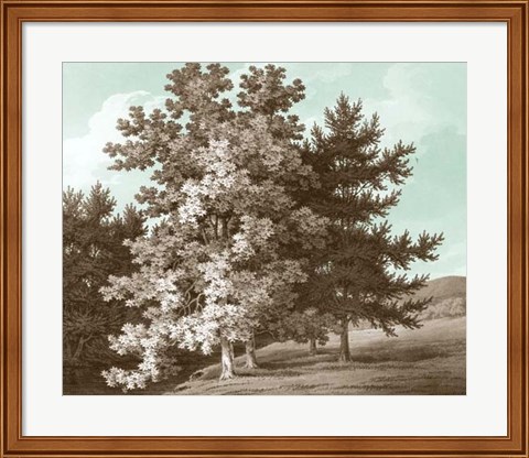 Framed Serene Trees I Print