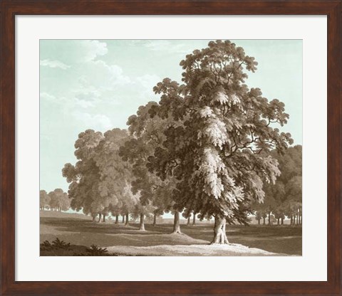 Framed Serene Trees II Print