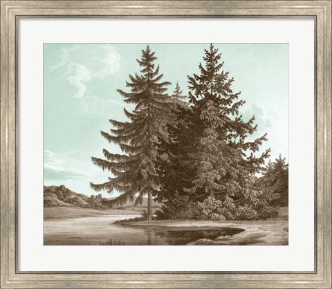 Framed Serene Trees III Print