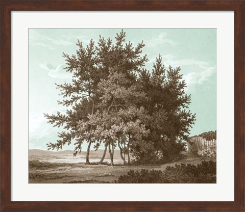 Framed Serene Trees IV Print