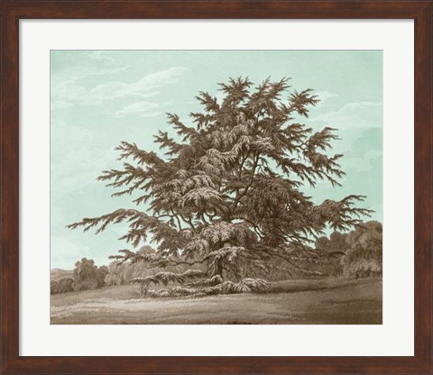 Framed Serene Trees VI Print