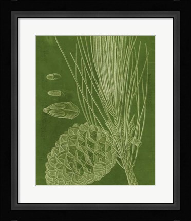 Framed Modern Pine I Print