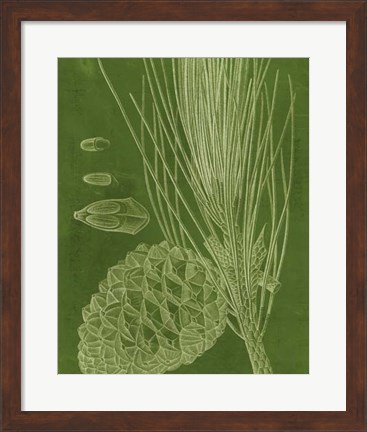 Framed Modern Pine I Print