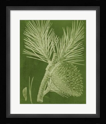 Framed Modern Pine III Print