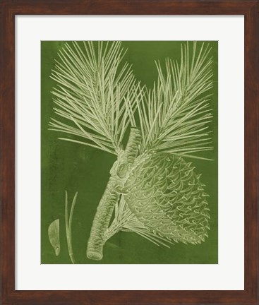 Framed Modern Pine III Print