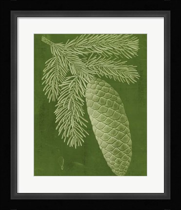 Framed Modern Pine IV Print