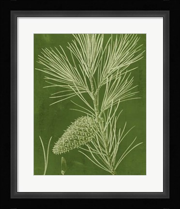 Framed Modern Pine V Print