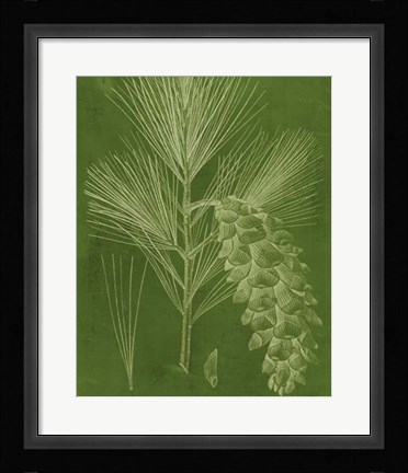 Framed Modern Pine VI Print