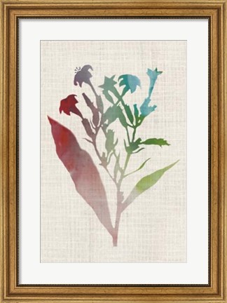 Framed Watercolor Plants II Print