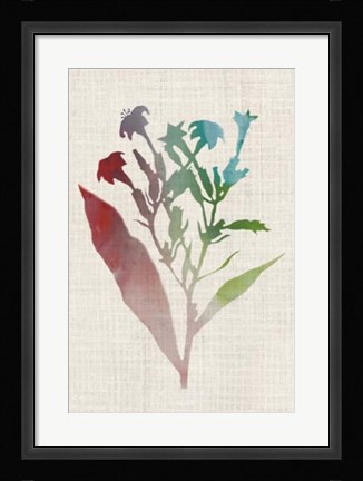 Framed Watercolor Plants II Print