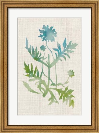 Framed Watercolor Plants III Print