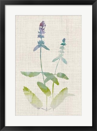 Framed Watercolor Plants IV Print