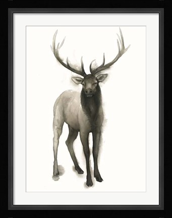Framed Majestic Wildlife II Print