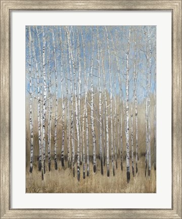 Framed Dusty Blue Birches I Print