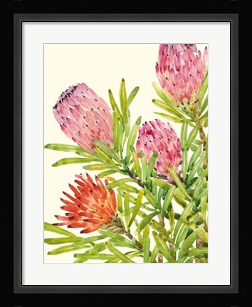 Framed Watercolor Tropical Flowers I Print