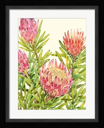 Framed Watercolor Tropical Flowers II Print
