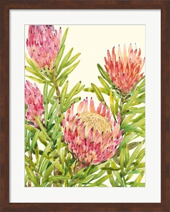 Framed Watercolor Tropical Flowers II Print