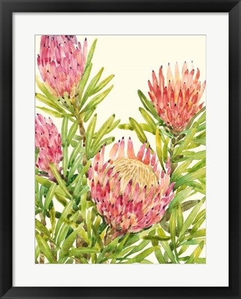 Framed Watercolor Tropical Flowers II Print