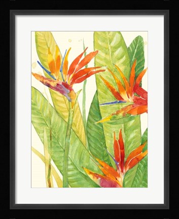 Framed Watercolor Tropical Flowers III Print